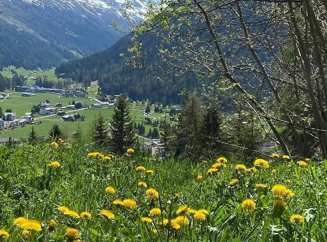 Apartamento Sunneschii